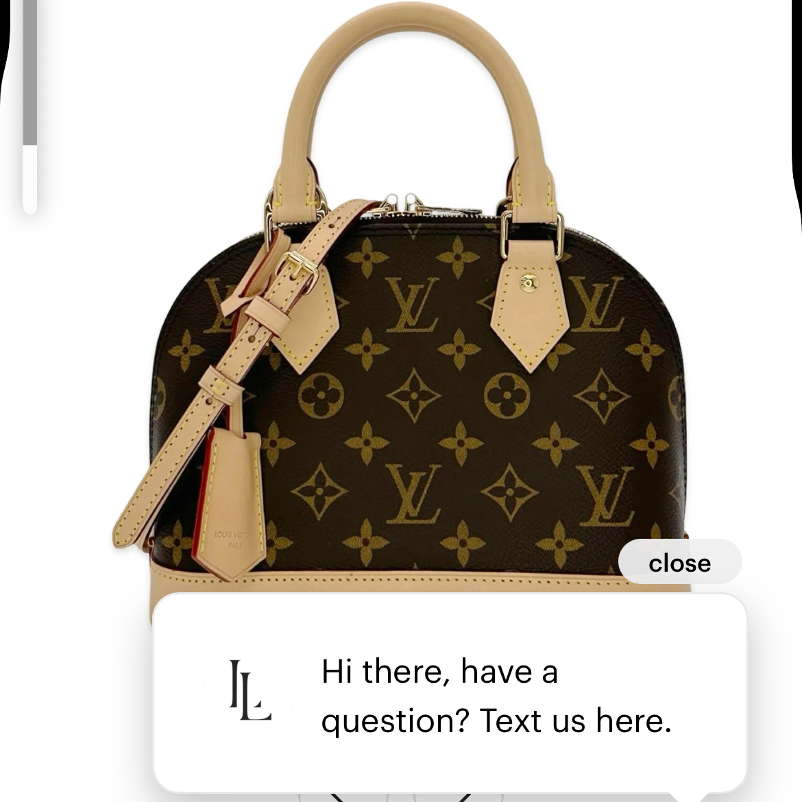 LV bag