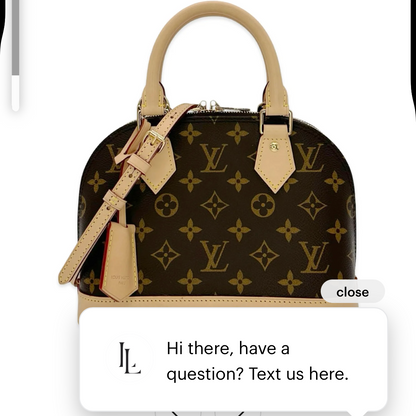 LV bag